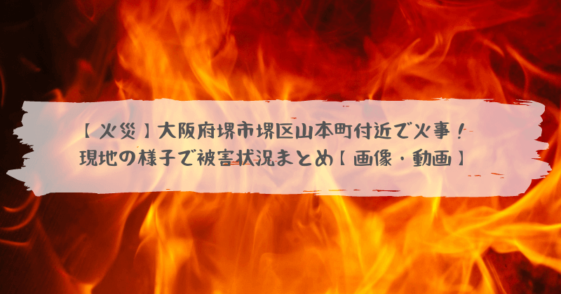 火災 大阪府堺市堺区山本町 三宝公園付近 で火事 現地の様子で被害状況まとめ 画像 動画